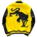 Mens-Louis-Vuitton-Varsity-Jacket.1.webp