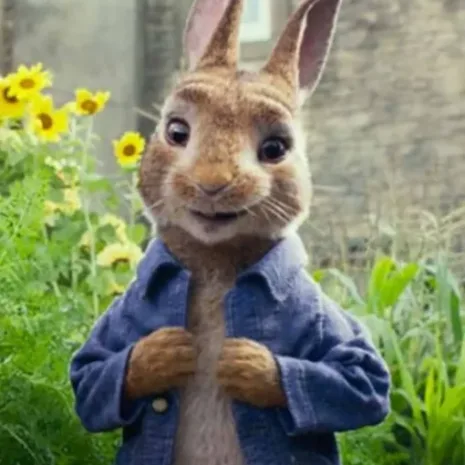 Peter-Rabbit-2-James-Corden-The-Runaway-Denim-Blue-Jacket.webp