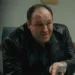 The-Sopranos-Tony-Soprano-Blazer.jpg