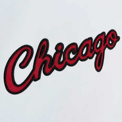 chicago-bulls-city-collection-bomber-satin-jacket.webp chicago-bulls-city-collection-bomber-satin-jacket.webp