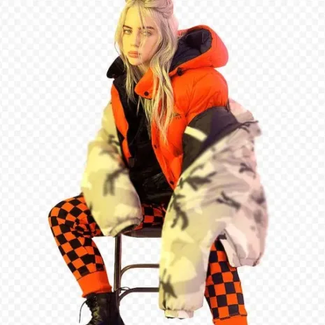 orange-polyester-billie-eilish-puffer-jacket-510x600-1.webp orange-polyester-billie-eilish-puffer-jacket-510x600-1.webp