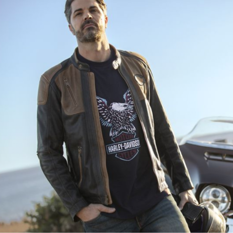 triple-3-768x694-1.png triple-3-768x694-1.png